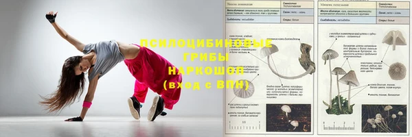 МДПВ Абаза