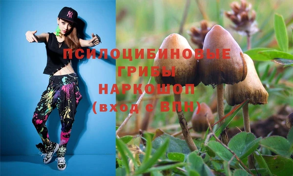 МДПВ Абаза