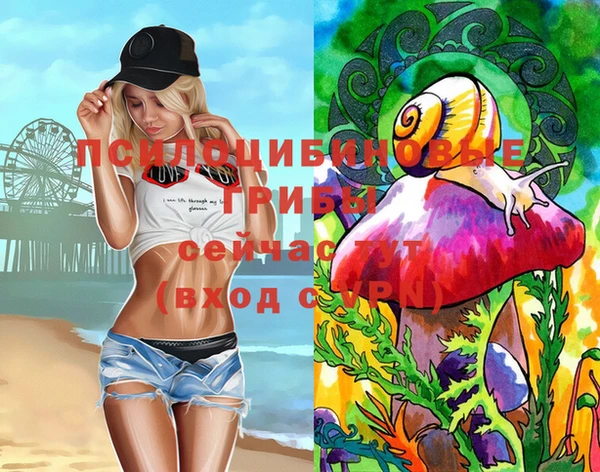 гашик Абинск