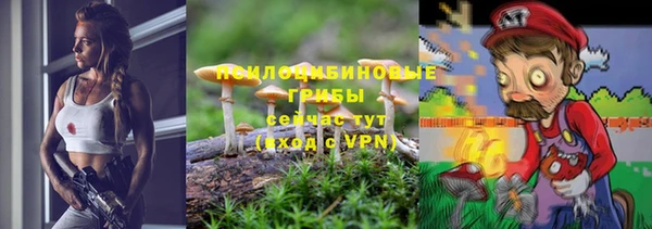 гашик Абинск